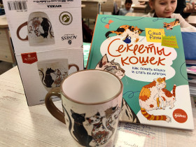 Кот &amp; Пес ПЛЮС.